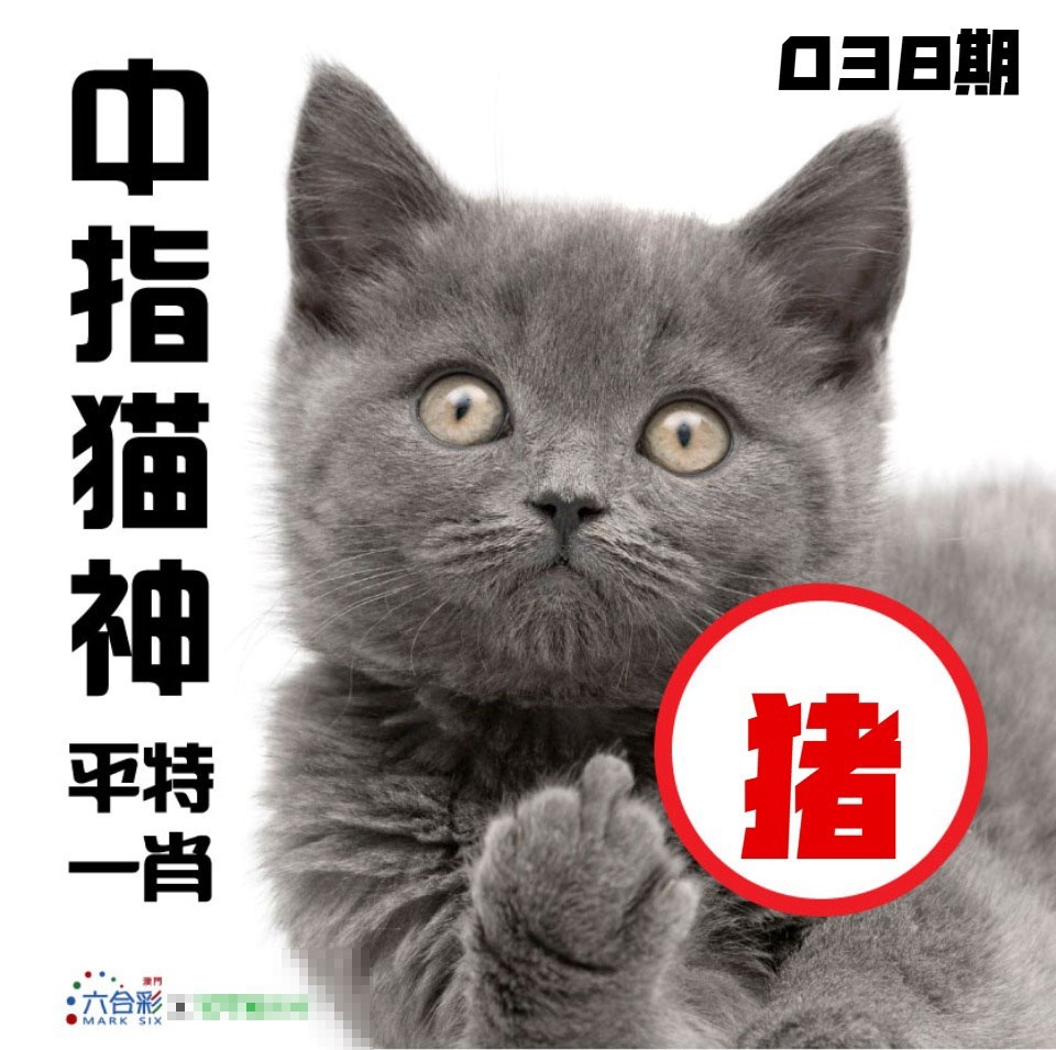 038期中指猫神[图]