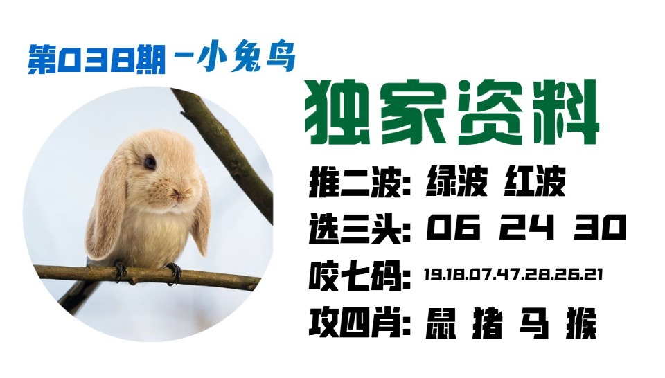 038期小兔鸟[图]